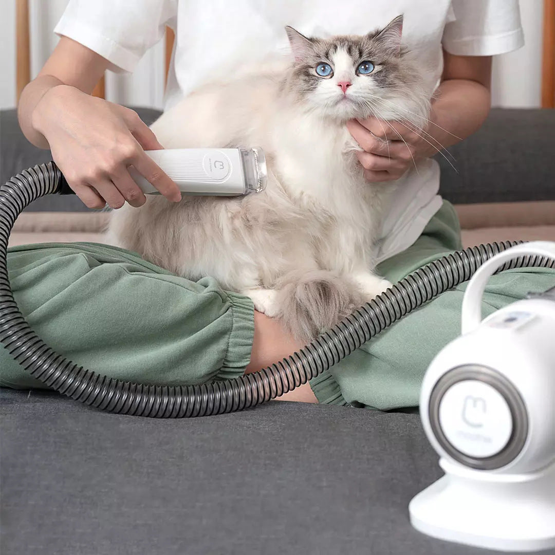 Smart Grooming Tool with Hair Sucker for Pets